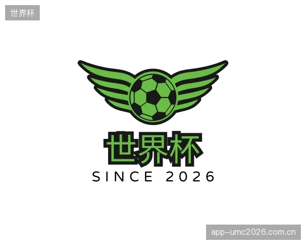 关于世界杯官网